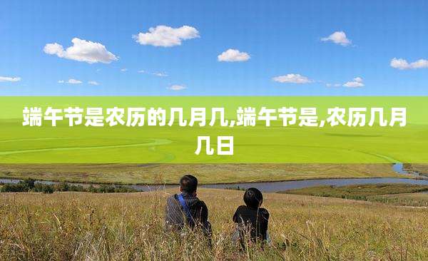 端午节是农历的几月几,端午节是,农历几月几日