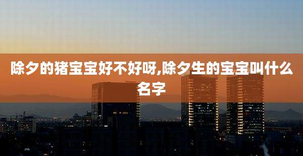 除夕的猪宝宝好不好呀,除夕生的宝宝叫什么名字