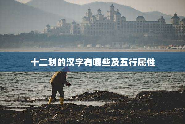 十二划的汉字有哪些及五行属性