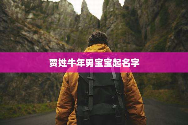 贾姓牛年男宝宝起名字