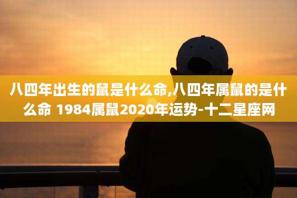 八四年出生的鼠是什么命,八四年属鼠的是什么命 1984属鼠2020年运势-十二星座网