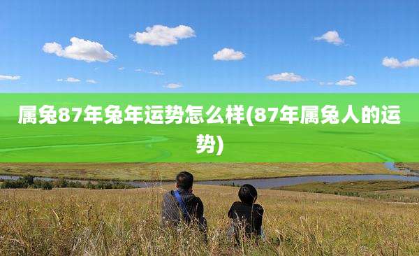 属兔87年兔年运势怎么样(87年属兔人的运势)