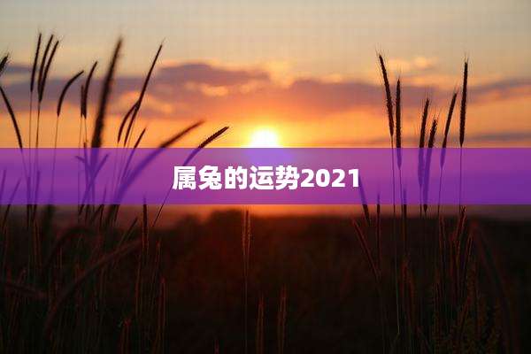 属兔的运势2021