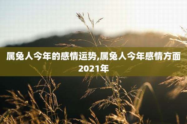 属兔人今年的感情运势,属兔人今年感情方面2021年