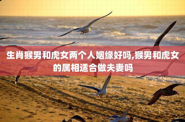 生肖猴男和虎女两个人姻缘好吗,猴男和虎女的属相适合做夫妻吗