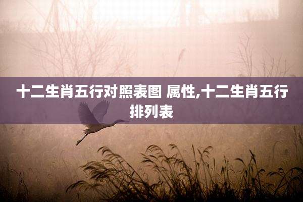 十二生肖五行对照表图 属性,十二生肖五行排列表