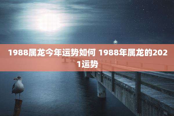 1988属龙今年运势如何 1988年属龙的2021运势