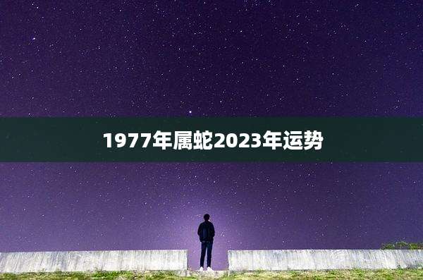 1977年属蛇2023年运势