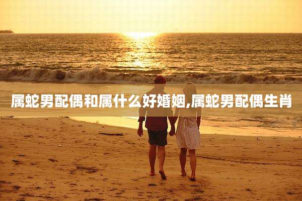 属蛇男配偶和属什么好婚姻,属蛇男配偶生肖
