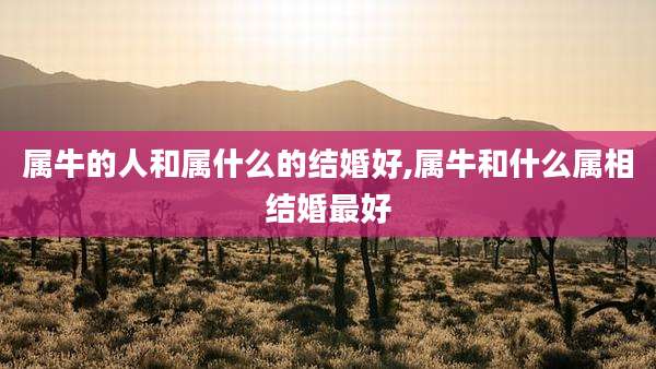 属牛的人和属什么的结婚好,属牛和什么属相结婚最好