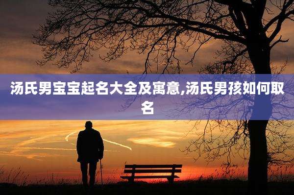 汤氏男宝宝起名大全及寓意,汤氏男孩如何取名