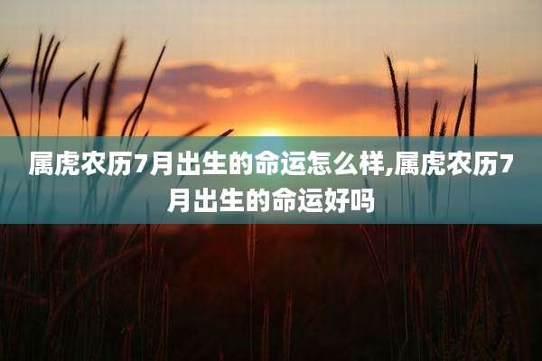 属虎农历7月出生的命运怎么样,属虎农历7月出生的命运好吗