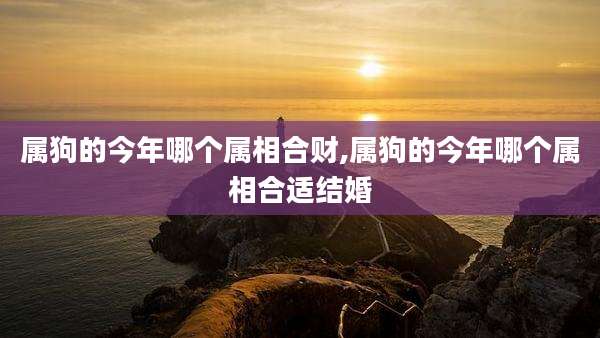 属狗的今年哪个属相合财,属狗的今年哪个属相合适结婚
