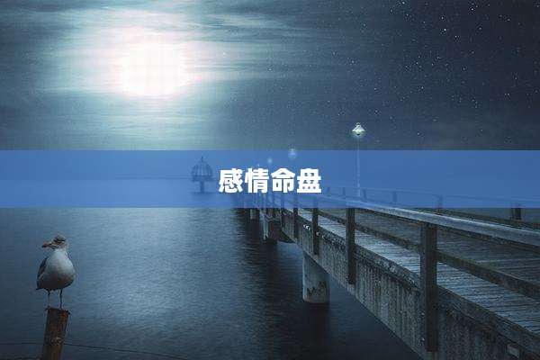 感情命盘