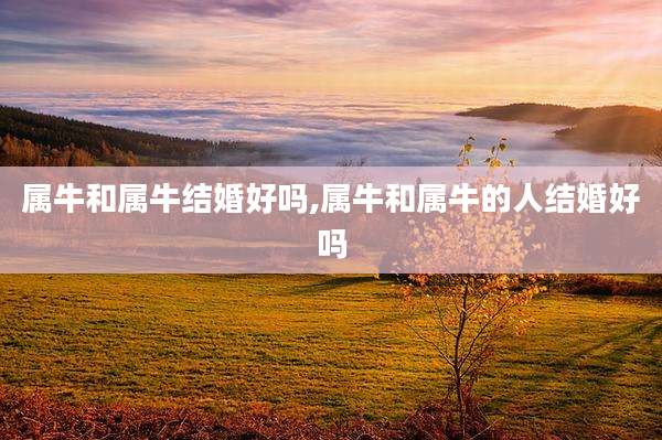 属牛和属牛结婚好吗,属牛和属牛的人结婚好吗