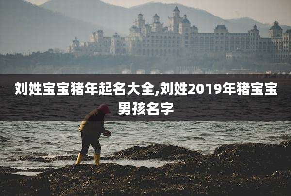 刘姓宝宝猪年起名大全,刘姓2019年猪宝宝男孩名字