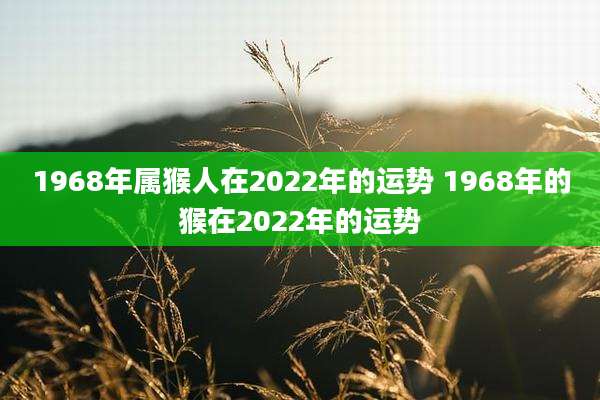 1968年属猴人在2022年的运势 1968年的猴在2022年的运势