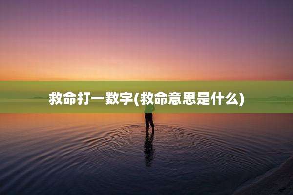 救命打一数字(救命意思是什么)