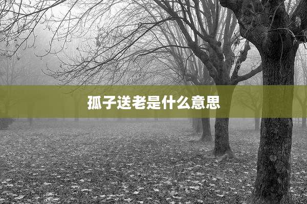 孤子送老是什么意思