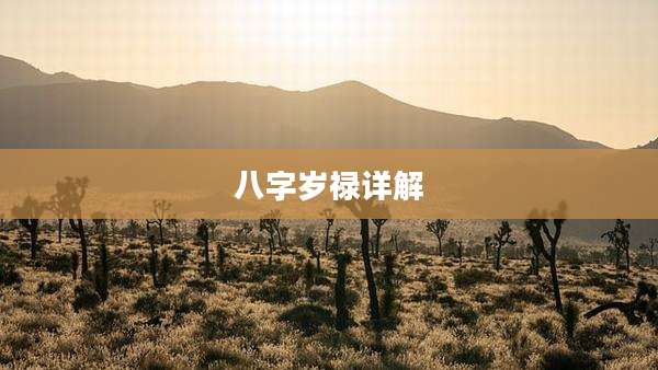 八字岁禄详解