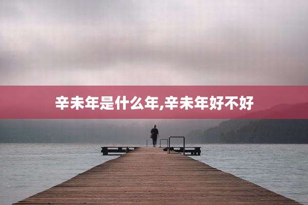 辛未年是什么年,辛未年好不好