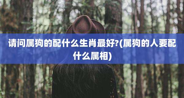 请问属狗的配什么生肖最好?(属狗的人要配什么属相)