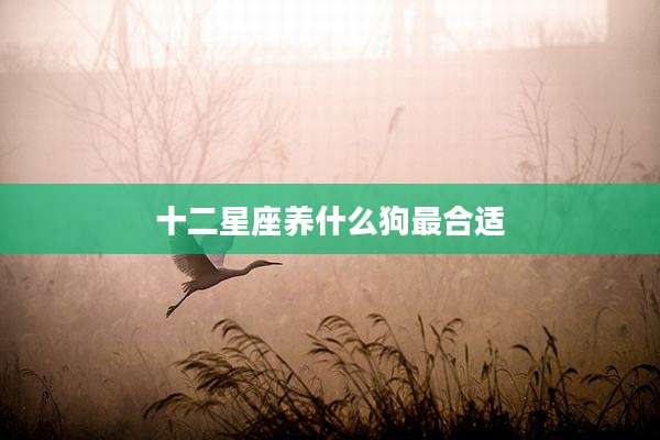 十二星座养什么狗最合适