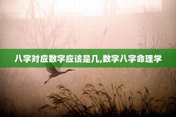 八字对应数字应该是几,数字八字命理学