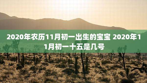 2020年农历11月初一出生的宝宝 2020年11月初一十五是几号