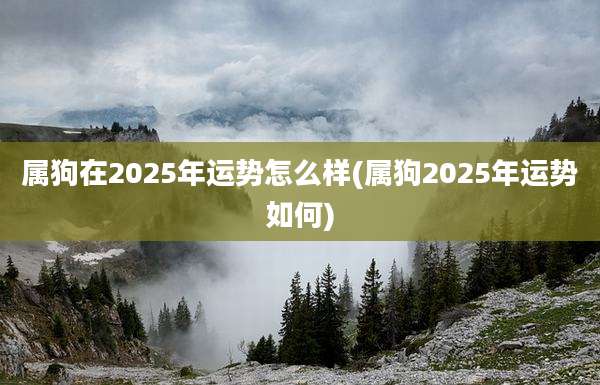 属狗在2025年运势怎么样(属狗2025年运势如何)