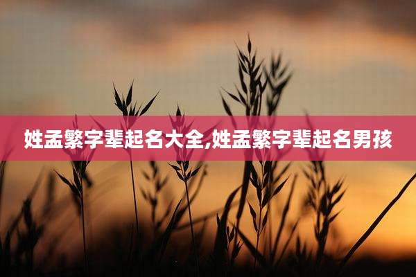 姓孟繁字辈起名大全,姓孟繁字辈起名男孩