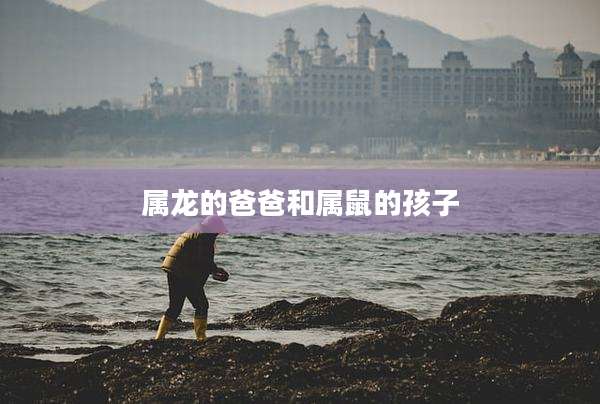 属龙的爸爸和属鼠的孩子