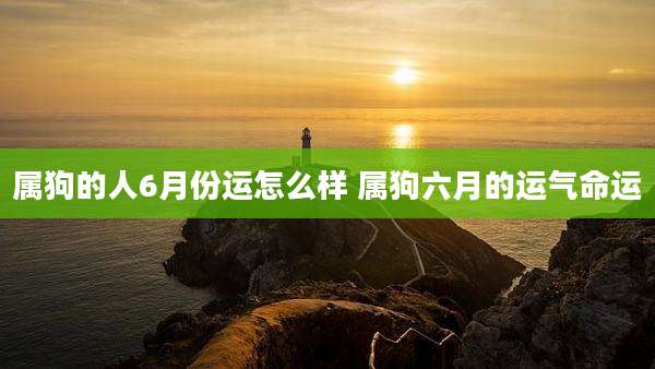 属狗的人6月份运怎么样 属狗六月的运气命运