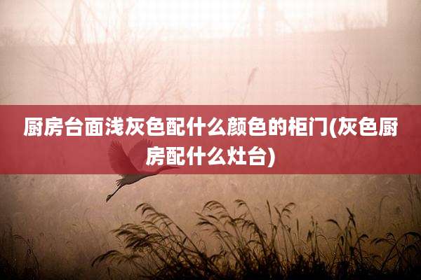厨房台面浅灰色配什么颜色的柜门(灰色厨房配什么灶台)