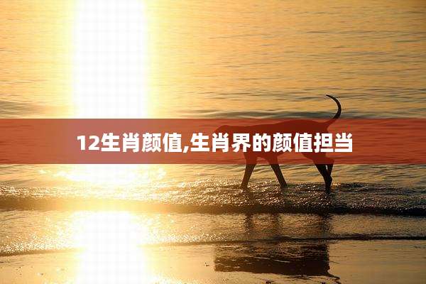 12生肖颜值,生肖界的颜值担当