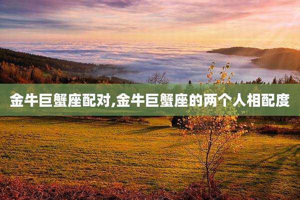 金牛巨蟹座配对,金牛巨蟹座的两个人相配度