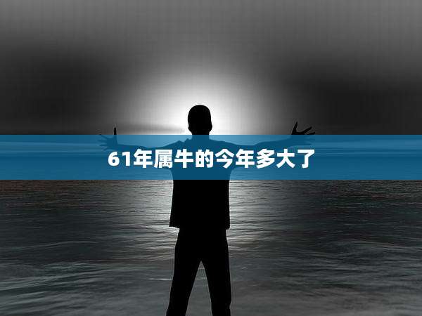 61年属牛的今年多大了