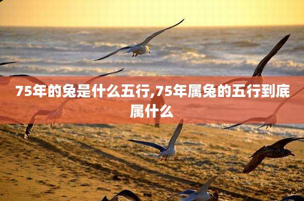 75年的兔是什么五行,75年属兔的五行到底属什么