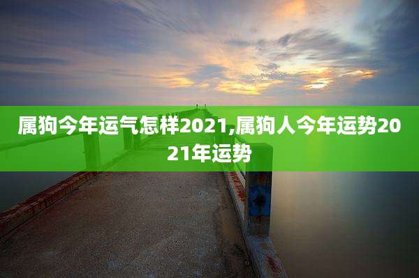 属狗今年运气怎样2021,属狗人今年运势2021年运势