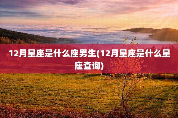 12月星座是什么座男生(12月星座是什么星座查询)