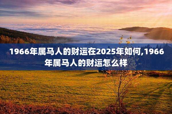 1966年属马人的财运在2025年如何,1966年属马人的财运怎么样