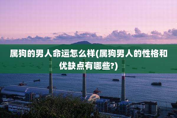 属狗的男人命运怎么样(属狗男人的性格和优缺点有哪些?)