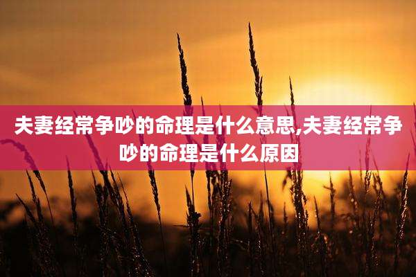 夫妻经常争吵的命理是什么意思,夫妻经常争吵的命理是什么原因