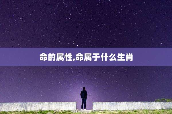 命的属性,命属于什么生肖