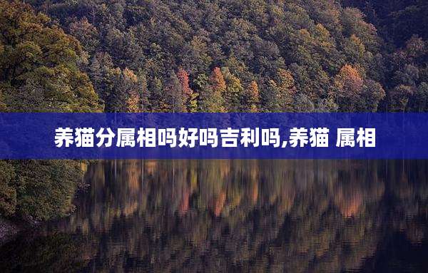 养猫分属相吗好吗吉利吗,养猫 属相