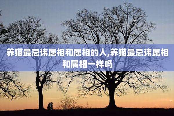 养猫最忌讳属相和属相的人,养猫最忌讳属相和属相一样吗