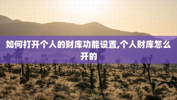 如何打开个人的财库功能设置,个人财库怎么开的