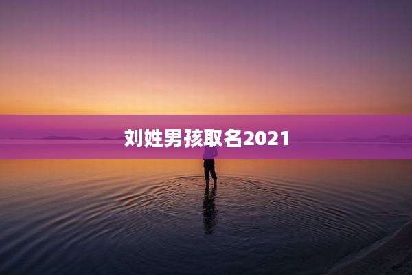 刘姓男孩取名2021