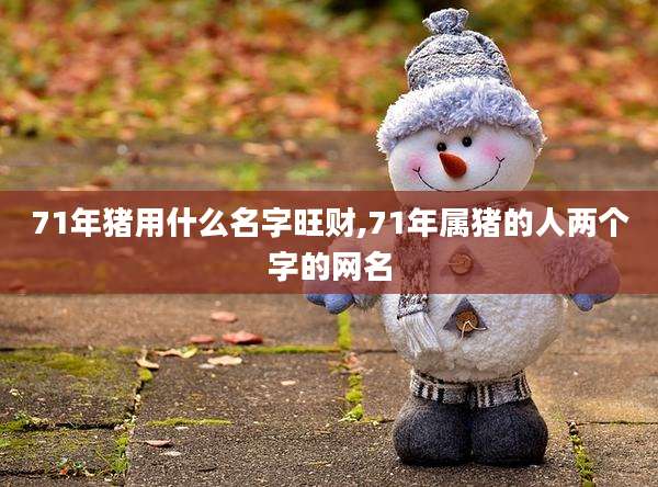 71年猪用什么名字旺财,71年属猪的人两个字的网名