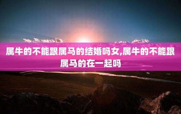 属牛的不能跟属马的结婚吗女,属牛的不能跟属马的在一起吗